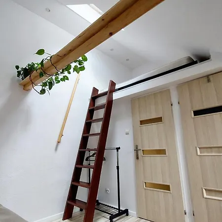 Mini-apartament Ekos *